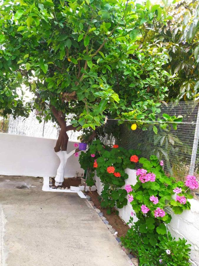 Meimetis Green House Neapoli Voion ภายนอก รูปภาพ